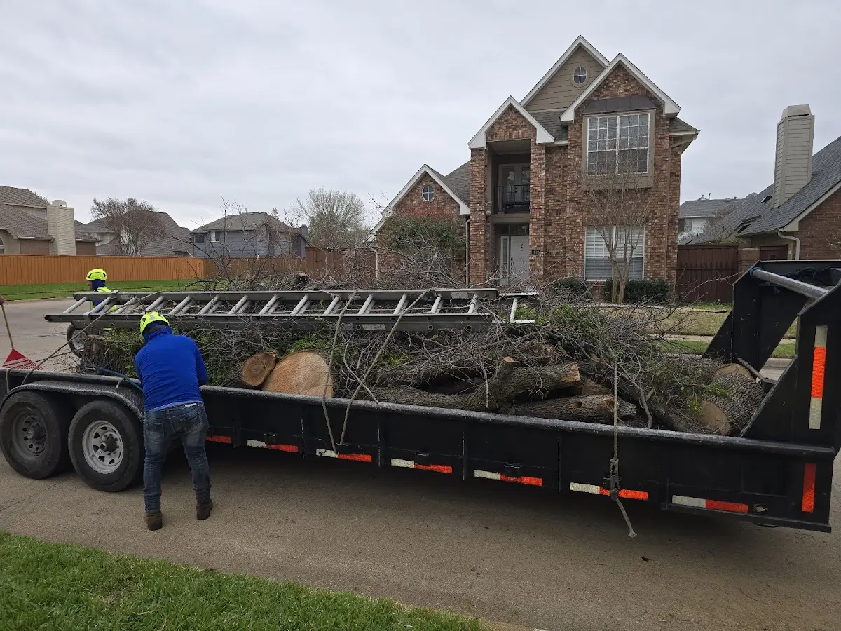 Expert Lot Clearing with proper safety equipment in South Glens Falls